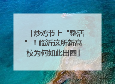 炒鸡节上“整活”！临沂这所新高校为何如此出圈