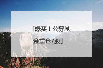 爆买！公募基金重仓7股