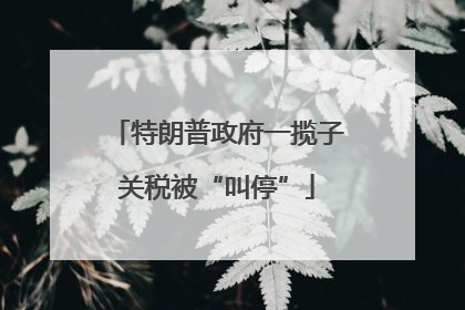 特朗普政府一揽子关税被“叫停”