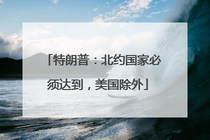 特朗普：北约国家必须达到，美国除外