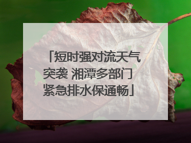 短时强对流天气突袭 湘潭多部门紧急排水保通畅