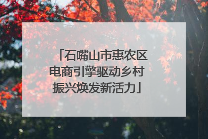 石嘴山市惠农区电商引擎驱动乡村振兴焕发新活力