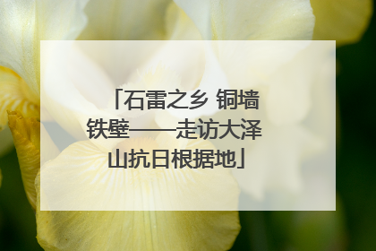 石雷之乡 铜墙铁壁——走访大泽山抗日根据地