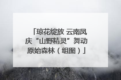 琼花绽放 云南凤庆“山野精灵”舞动原始森林（组图）