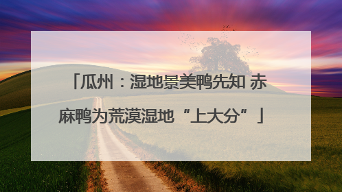 瓜州：湿地景美鸭先知 赤麻鸭为荒漠湿地“上大分”