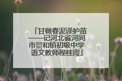 甘做春泥谨护苗——记河北省河间市景和镇初级中学语文教师程桂霞