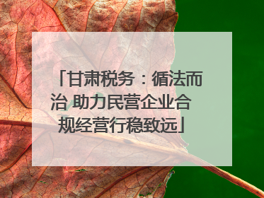甘肃税务：循法而治 助力民营企业合规经营行稳致远