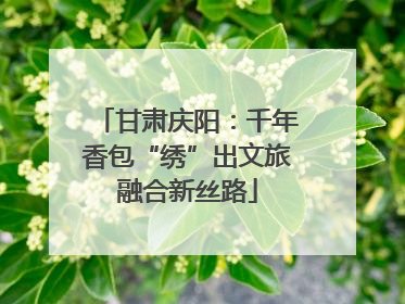 甘肃庆阳：千年香包“绣”出文旅融合新丝路