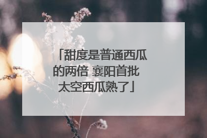 甜度是普通西瓜的两倍 襄阳首批太空西瓜熟了