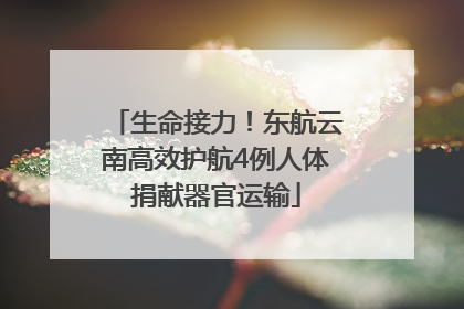 生命接力！东航云南高效护航4例人体捐献器官运输