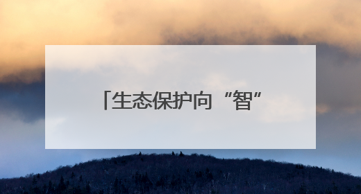 生态保护向“智”向“新” 白海豚有了高科技“保镖”