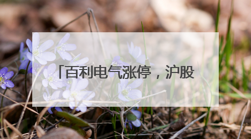 百利电气涨停，沪股通龙虎榜上净买入2474.95万元