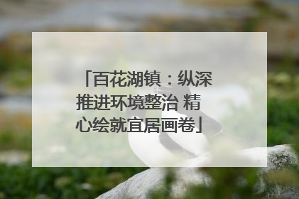百花湖镇：纵深推进环境整治 精心绘就宜居画卷