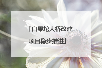 白果坨大桥改建项目稳步推进
