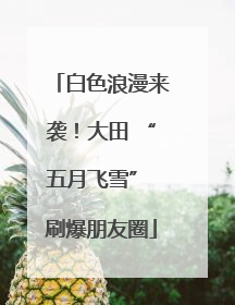 白色浪漫来袭！大田 “五月飞雪” 刷爆朋友圈
