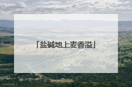 盐碱地上麦香溢