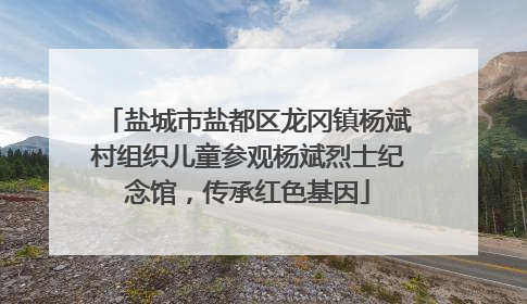 盐城市盐都区龙冈镇杨斌村组织儿童参观杨斌烈士纪念馆，传承红色基因
