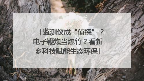 监测仪成“侦探”？电子鞭炮当爆竹？看新乡科技赋能生态环保