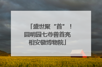 盛世聚“首”！圆明园七尊兽首亮相安徽博物院