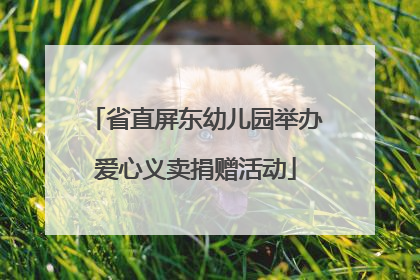省直屏东幼儿园举办爱心义卖捐赠活动