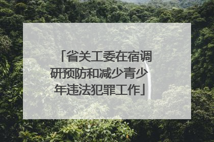 省关工委在宿调研预防和减少青少年违法犯罪工作