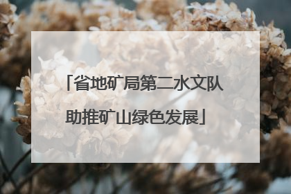 省地矿局第二水文队助推矿山绿色发展