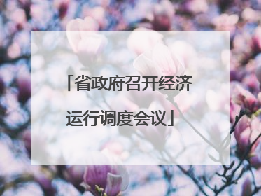 省政府召开经济运行调度会议