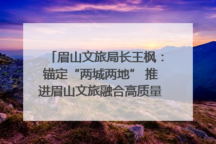 眉山文旅局长王枫：锚定“两城两地” 推进眉山文旅融合高质量发展｜文旅局长说