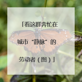 看这群奔忙在城市“静脉”的劳动者（图）