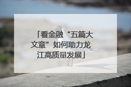 看金融“五篇大文章”如何助力龙江高质量发展