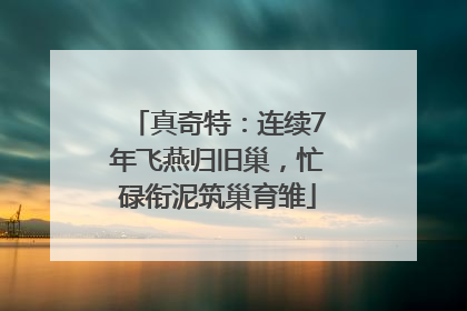 真奇特：连续7年飞燕归旧巢，忙碌衔泥筑巢育雏