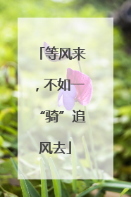 等风来，不如一“骑”追风去