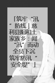 筑牢“汛”防线｜慈利县阳和土家族乡：闻“汛”而动 全员下沉筑牢防汛“安全堤”