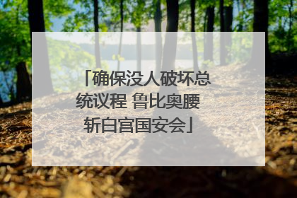 确保没人破坏总统议程 鲁比奥腰斩白宫国安会