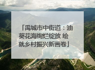 禹城市中街道：油葵花海绚烂绽放 绘就乡村振兴新画卷