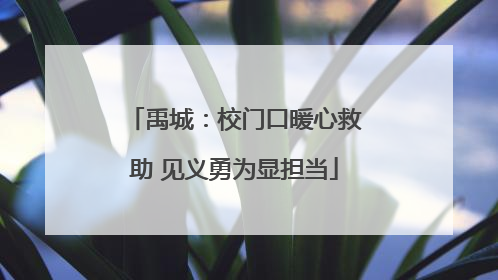 禹城：校门口暖心救助 见义勇为显担当
