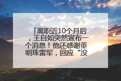 离职近10个月后，王自如突然宣布一个消息！他还感谢董明珠雷军，回应“没看过格力工资条”：真的不那么重要！