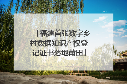 福建首张数字乡村数据知识产权登记证书落地莆田