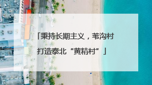 秉持长期主义，苇沟村打造泰北“黄精村”