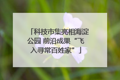 科技市集亮相海淀公园 前沿成果“飞入寻常百姓家”