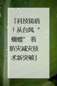 科技铸盾！从台风“蝴蝶” 看防灾减灾技术新突破