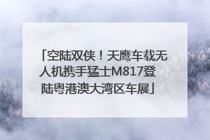 空陆双侠！天鹰车载无人机携手猛士M817登陆粤港澳大湾区车展