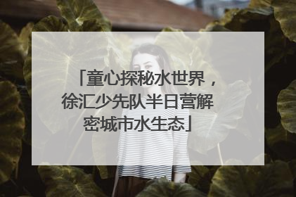 童心探秘水世界，徐汇少先队半日营解密城市水生态