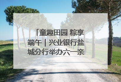 童趣田园 粽享端午｜兴业银行盐城分行举办六一亲子嘉年华活动