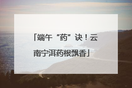 端午“药”诀！云南宁洱药根飘香