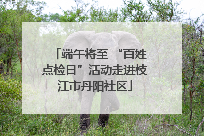 端午将至 “百姓点检日”活动走进枝江市丹阳社区