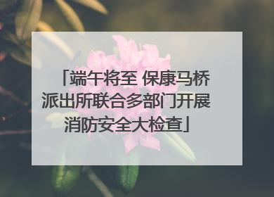 端午将至 保康马桥派出所联合多部门开展消防安全大检查