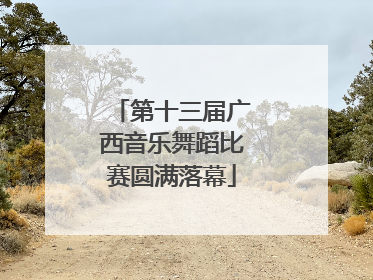 第十三届广西音乐舞蹈比赛圆满落幕