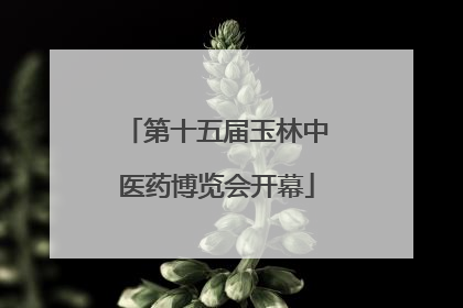 第十五届玉林中医药博览会开幕