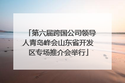 第六届跨国公司领导人青岛峰会山东省开发区专场推介会举行